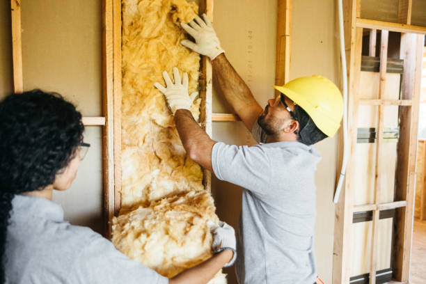 Best Wall Insulation Installation  in Lake View, AL